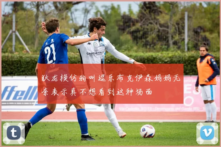 狄龙模仿狗叫逗乐布克伊森妈妈无奈表示真不想看到这种场面